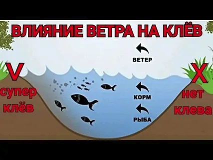 Фото с сайта: https://avatars.mds.yandex.net