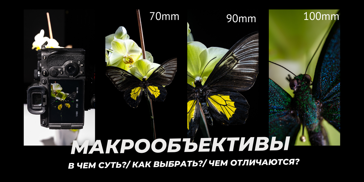 Макрообъективы 1:2 / 1:1 / 2:1 - в чем суть/как выбрать / чем отличаются. 