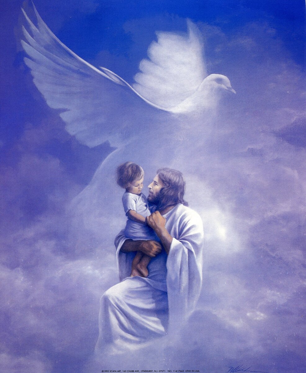 Фото из интернета.