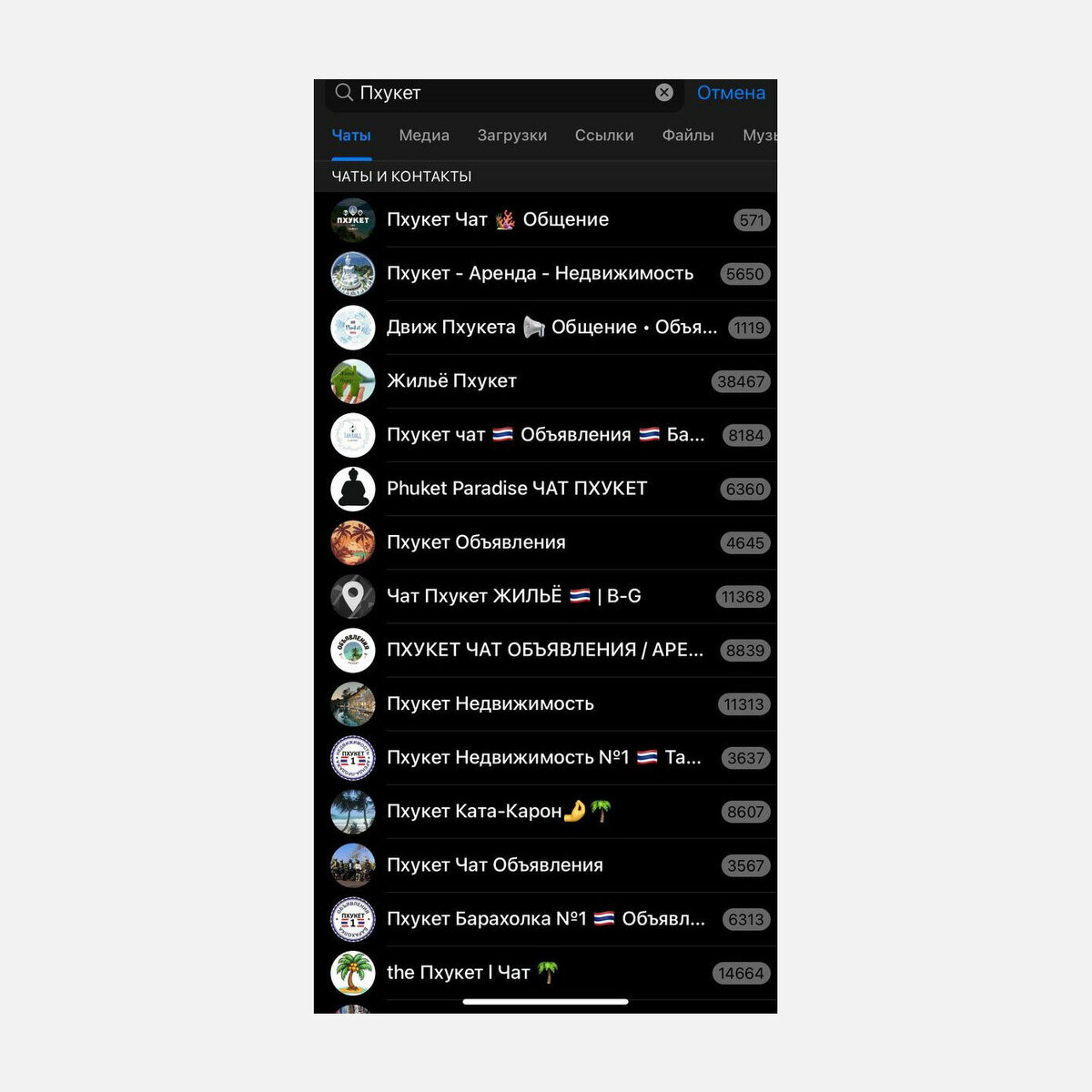 Так выглядят тематические группы в популярном мессенджере, где пользователи ищут всевозможные услуги. Скриншот: Елена Чернышова 