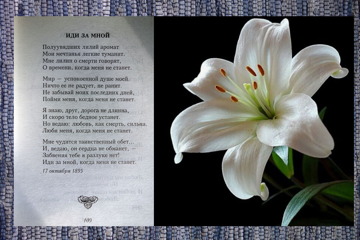 стихи авторов серебряного века. стихи поэтов серебряного века о любви. поэзия серебряного века стихи. тютчев стихи о родине. стихи поэтов.