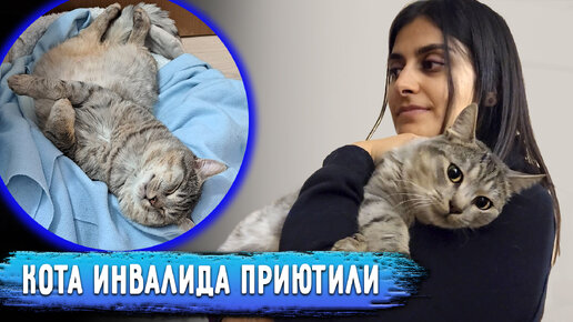 Tải video: Чака пожалела и приютила семья из Питера. Вся история Чака, от спасения, реабилитации и до отправки.