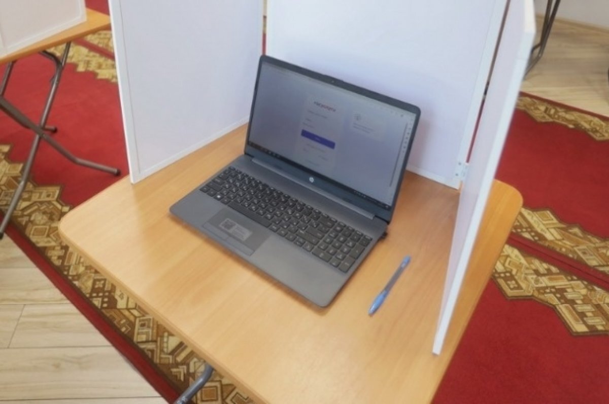    Минцифры: подано 2 млн заявок на участие в ДЭГ на выборах президента РФ