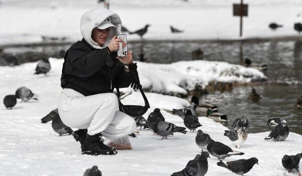 фото: РИА Новости/Константин Михальчевский