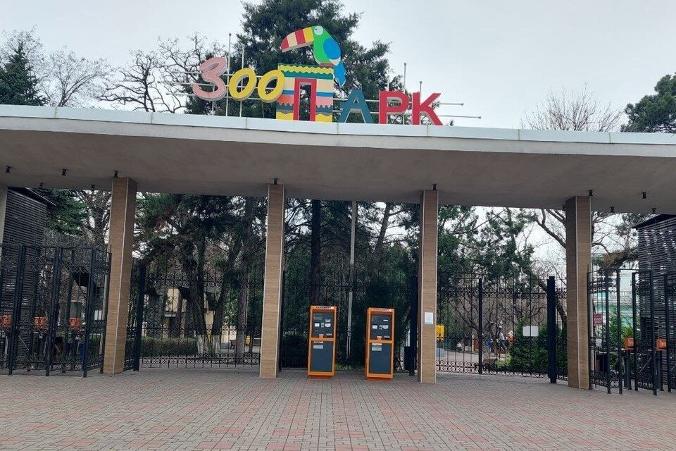 цитаты про мир. если инфинитив и сущ меняются местами. умные высказывания. мысли для размышления. менять местами по другому.