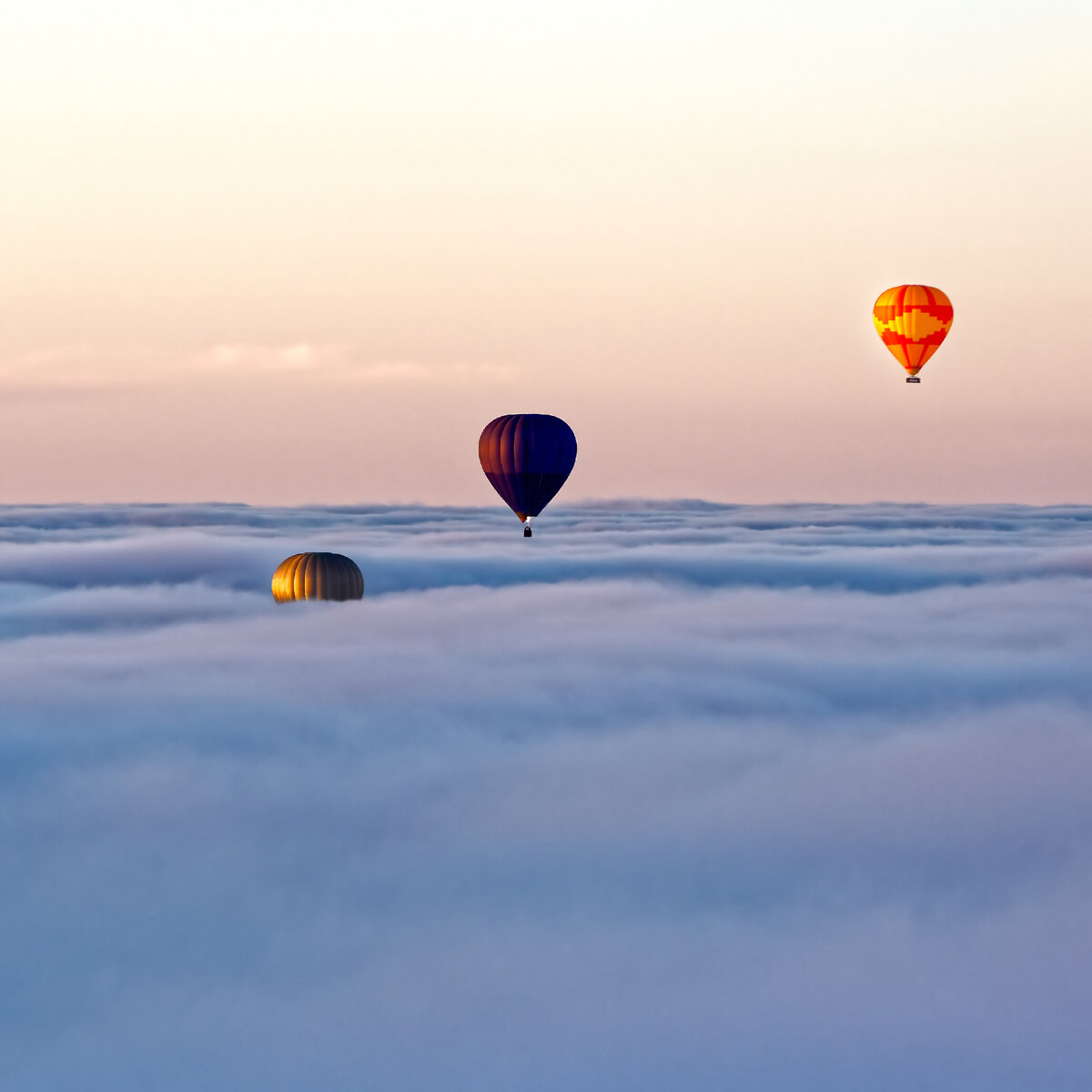Хотите полетать на воздушном шаре в феврале?