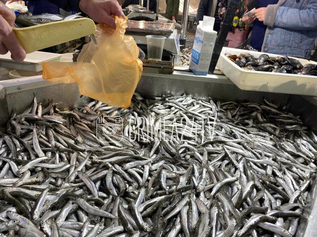 Фото: телеканал "Крым 24"