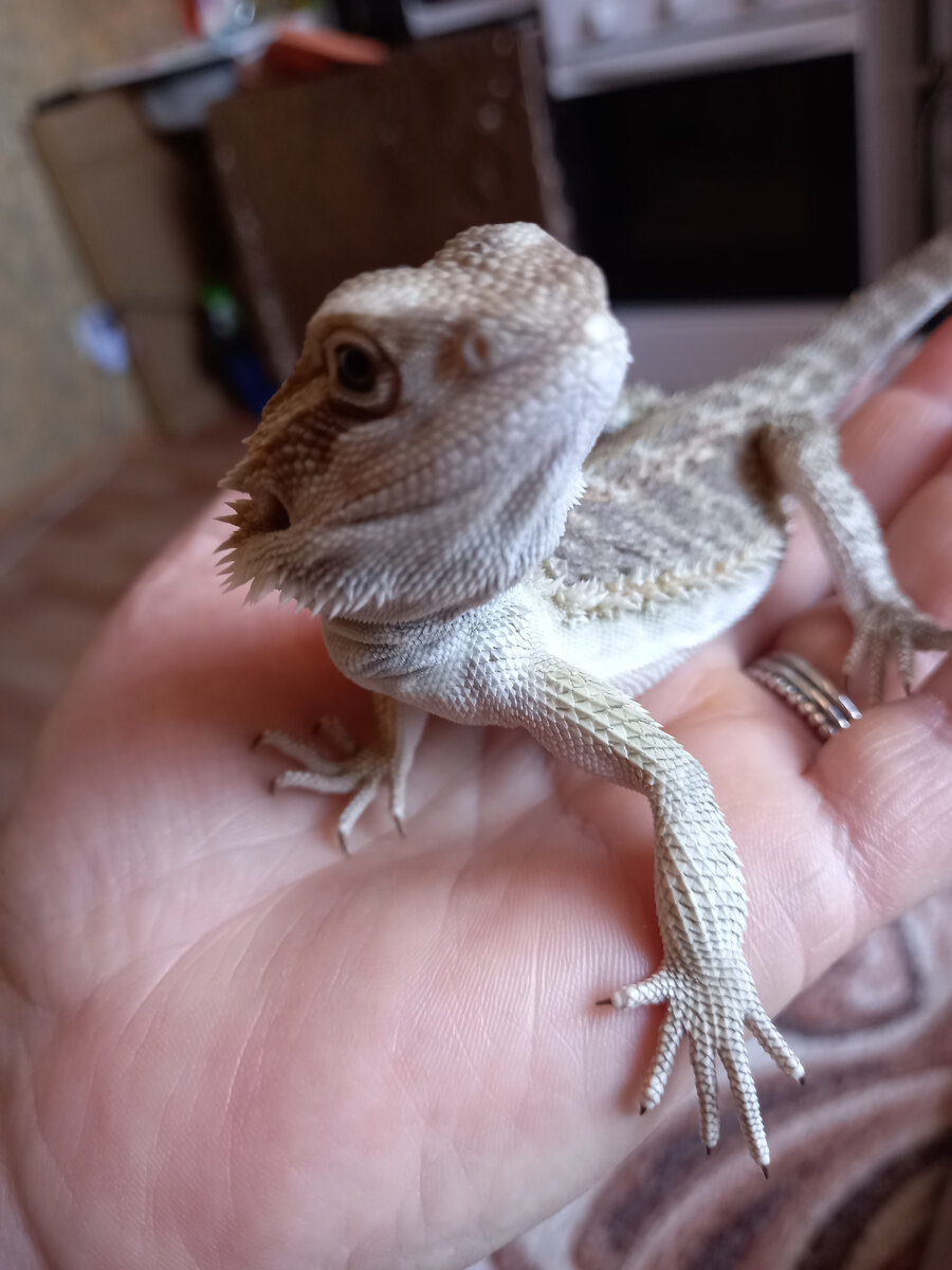 Сестры пришли сами. Две подруги. Девочки подруги. Женская дружба. Сестры ругаются.