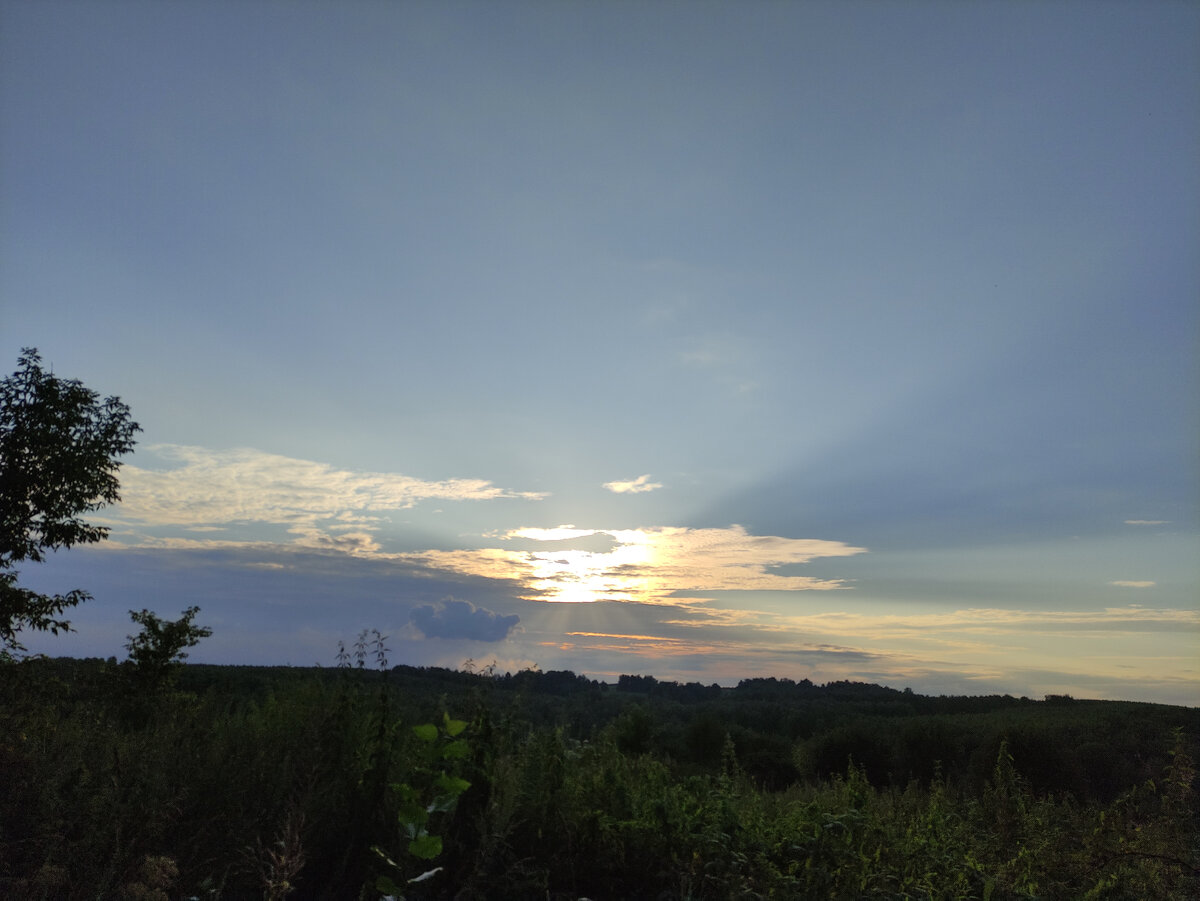 Дни становятся всё короче