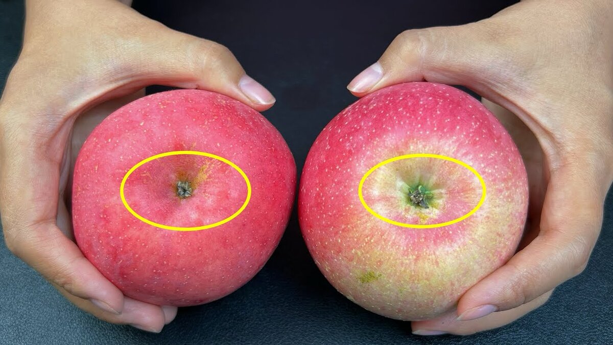 Вы сможете определить хрустящие и сладкие яблоки за 1 секунду. Просто ...