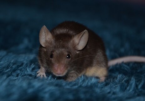 Изображение из открытого источника. Unsplash