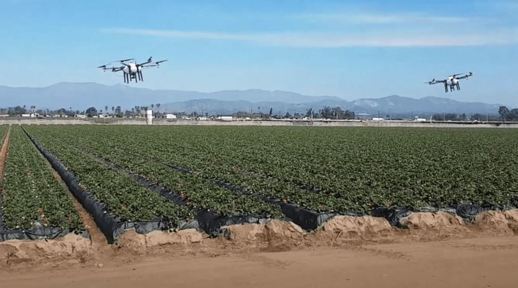    Рой дронов как новый подход к опрыскиванию сельхозкультур