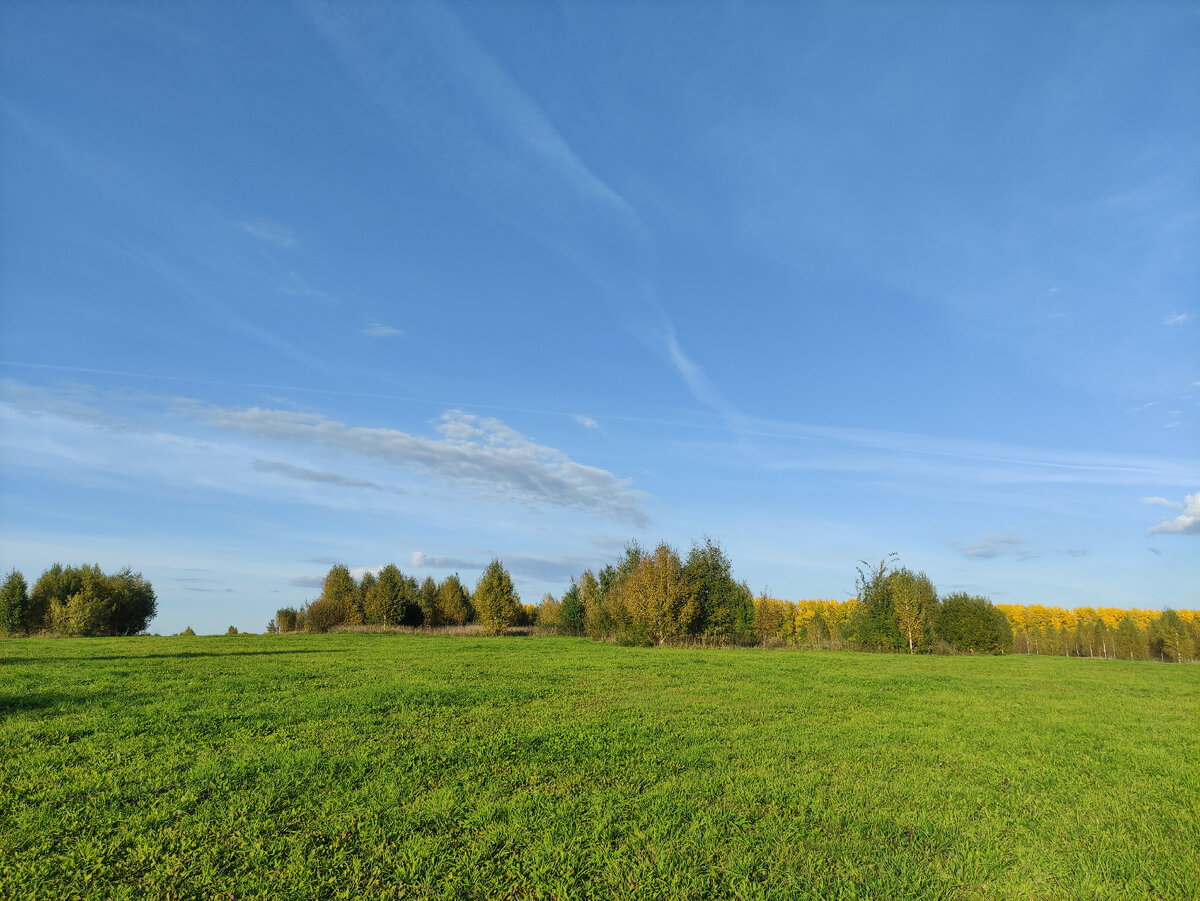 Тополя зажглись по верху золотом