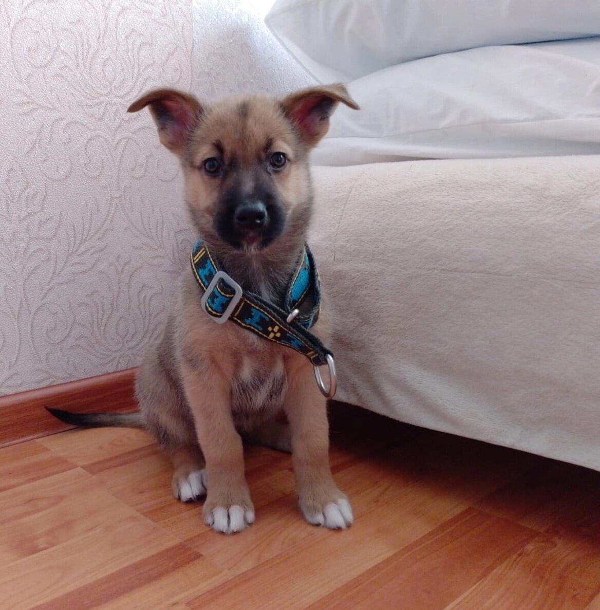 Листайте вправо, чтобы увидеть больше изображений