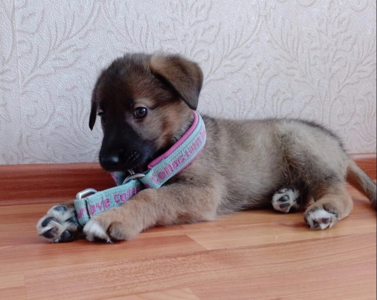 Листайте вправо, чтобы увидеть больше изображений