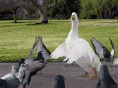 Повторяйте за спикером — и у вас всё получится, даже если вы никогда не писали код!