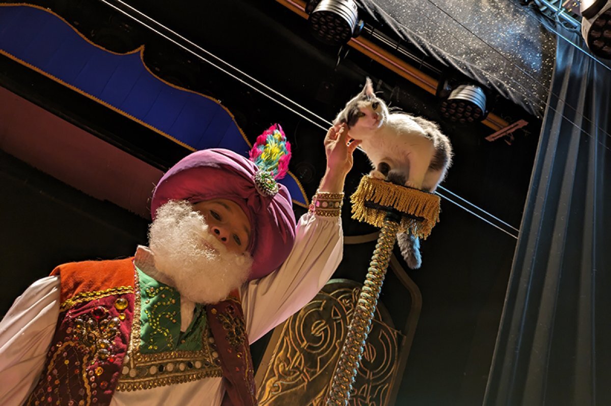    Томичам рассказали, как вернуть билеты на концерт, в театр, музей и цирк