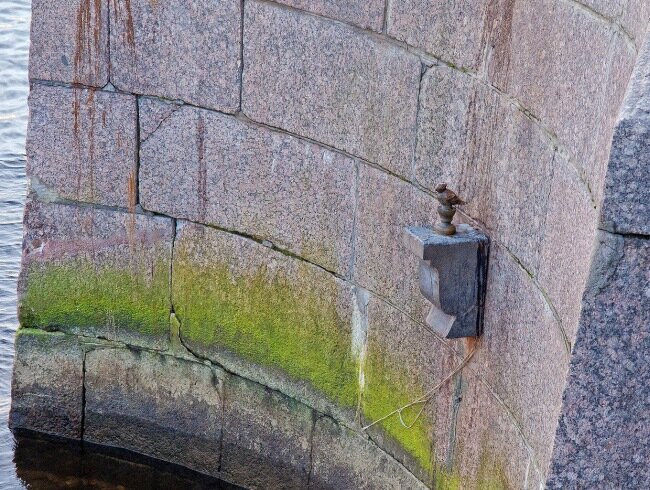Скульптура чижика-пыжика высотой в 11 сантиметров установили на набережной Фонтанки у Первого Инженерного моста рядом с Михайловским дворцом в 1994 году
