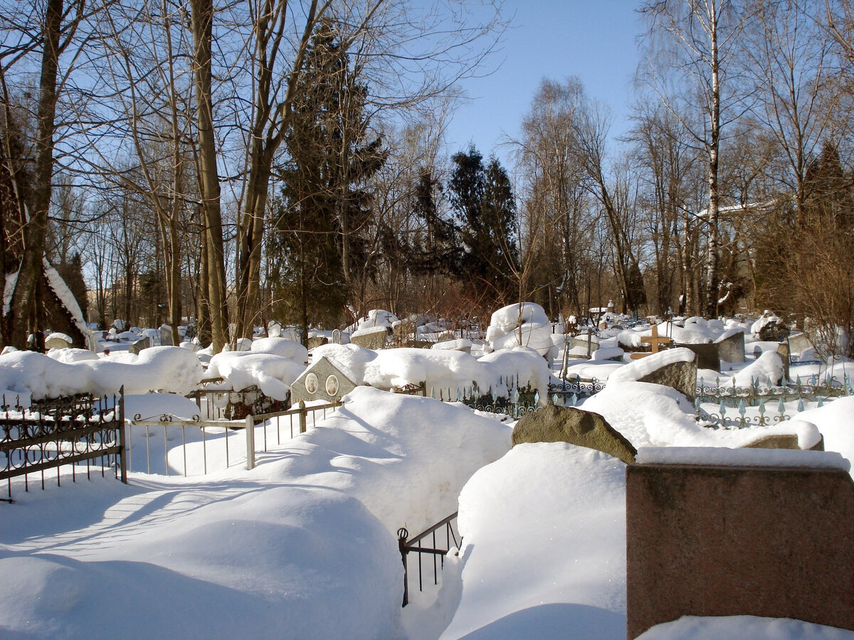 © ЯндексКарты