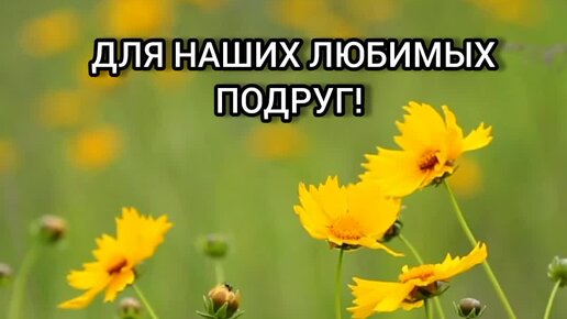 Мужики! 8 Марта не забудьте поздравить своих женщин. если вы забудете, то они этого фиг забудут.