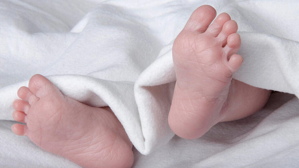 Фото: © Global Look Press/Thomas Lammeyer/imageBROKER.com