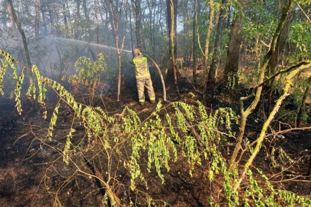    В Адыгее увеличилось количество возгораний сухой травы