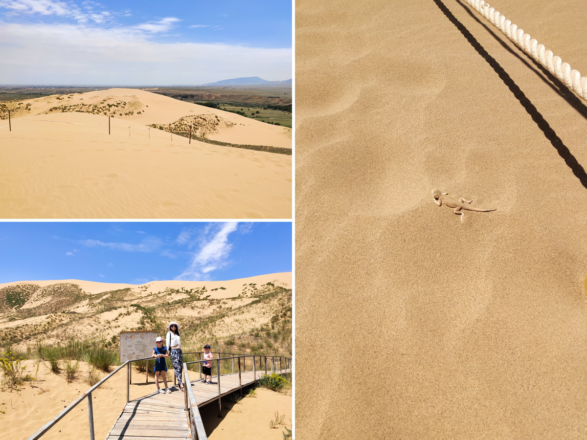 Барханы Сарыкум