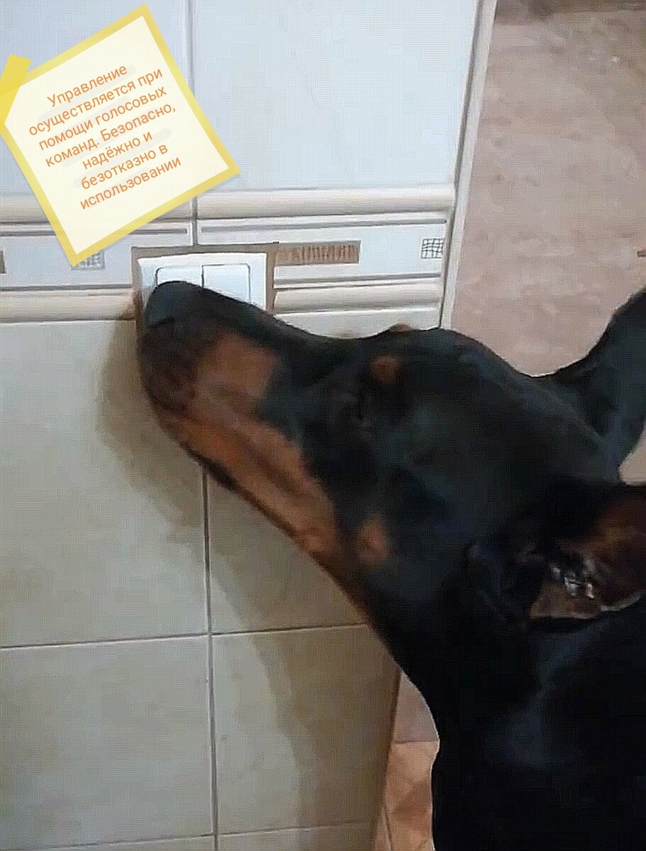 Так могла бы выглядеть реклама