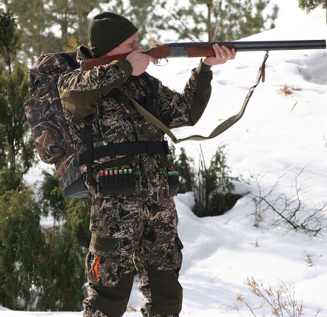 картинка взята с просторов интернета