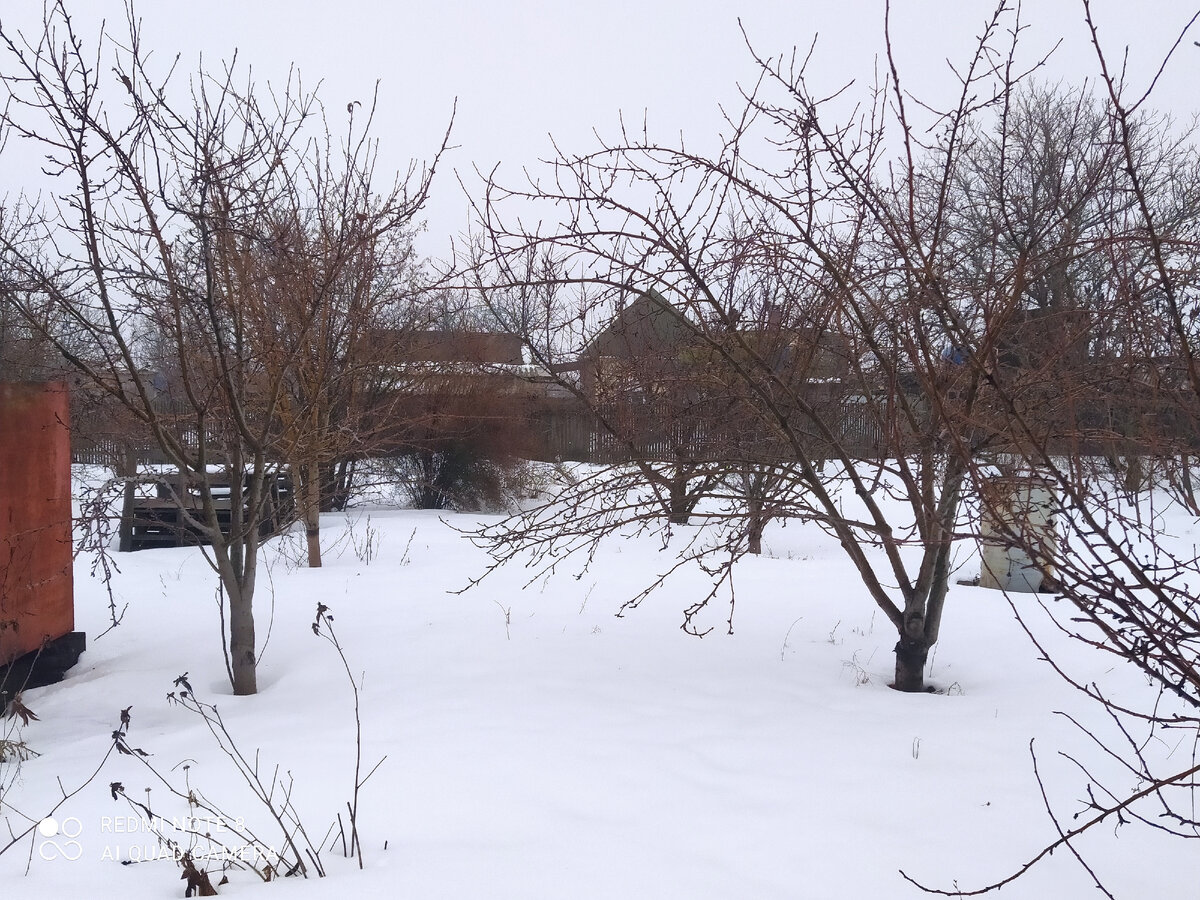 Зима проходит спокойно. 