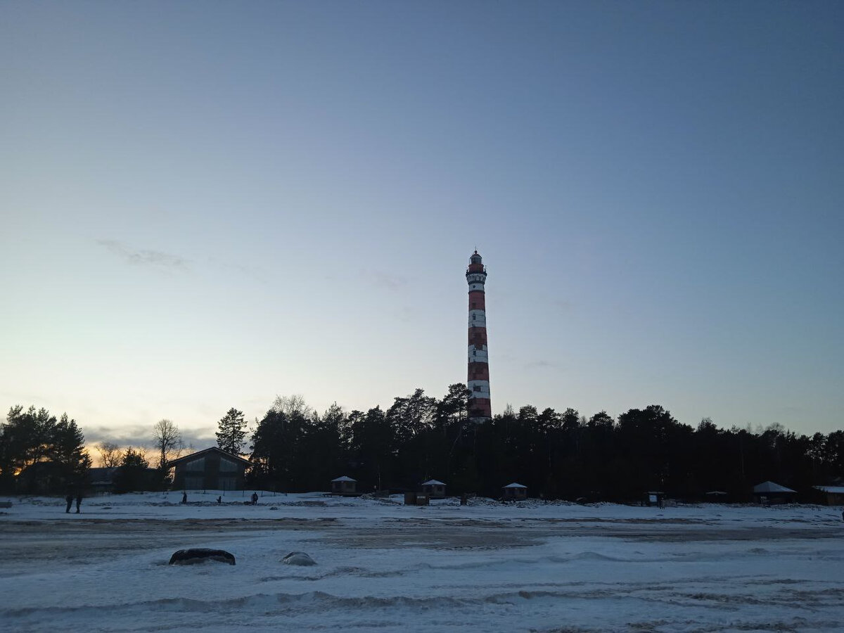 Дарья Нестерова
