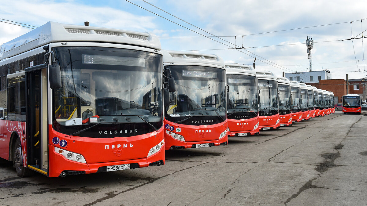 До конца марта в Пермский край поступят ещё 42 новых автобуса | Новый  компаньон | Дзен