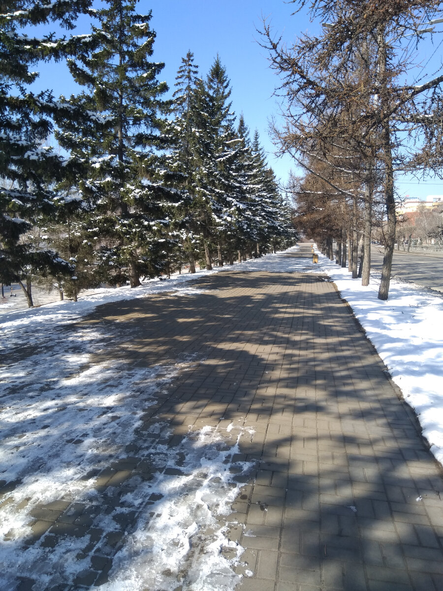 Фото автора. Зимняя аллея в городе 