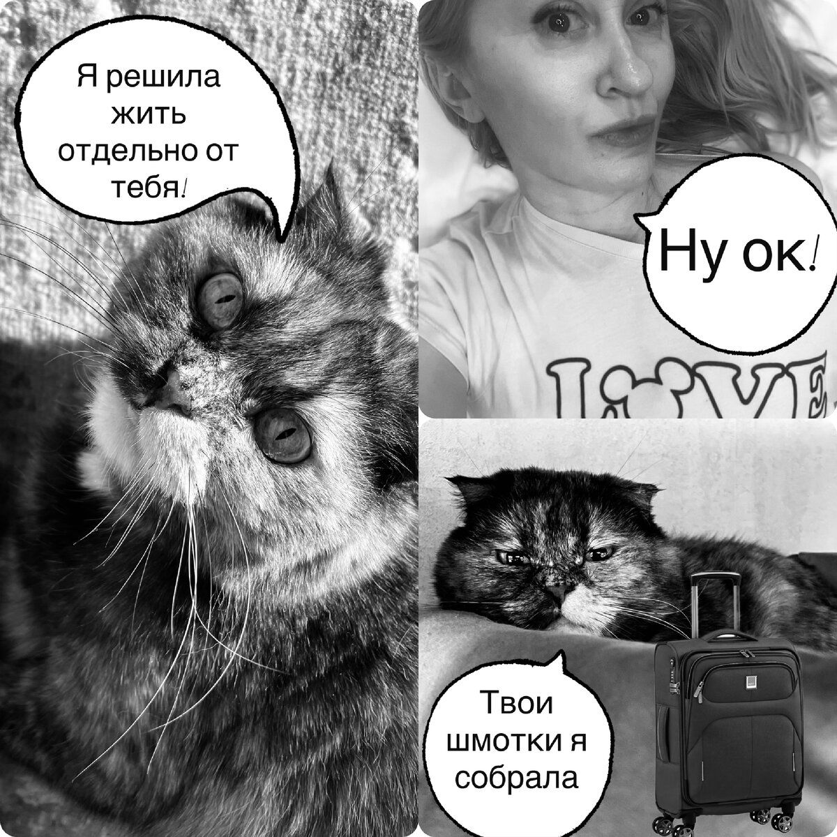 Кормушка-автомат есть, лоток-автомат есть, хозяин теперь без надобности 