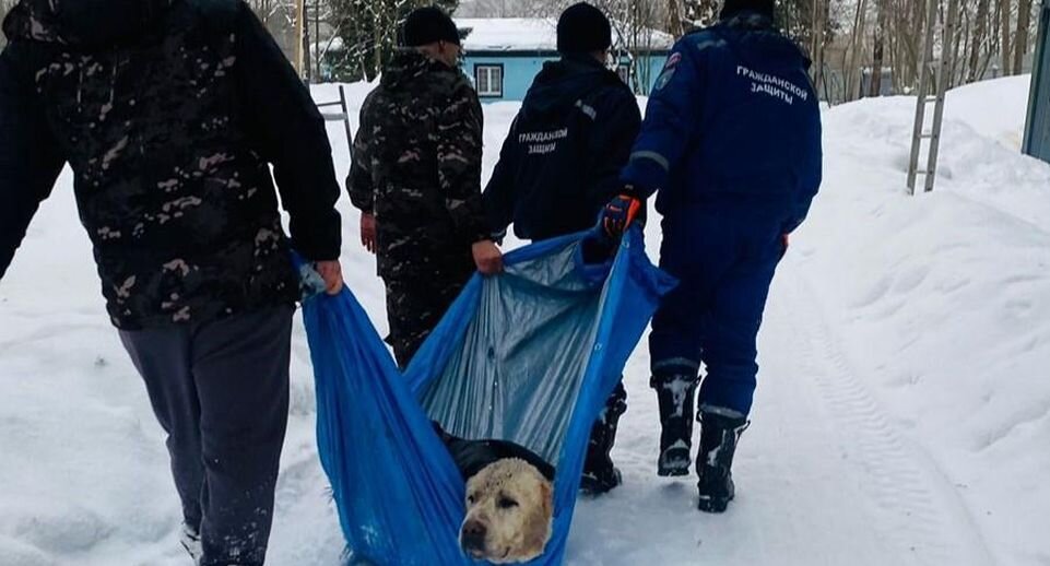    ГКУ МО "Мособлпожспас"