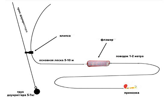 Вертушки прекрасно работают в комбинации с флешерами и доджерами. Это дополнительный элемент оснастки, который своими движениями и бликами боковой поверхности привлекает рыбу с больших расстояний.

Для троллинга лучше всего подходят легкие вертушки с достаточно большим лепестком, от №3 и больше. В этом случае, блесна заводится и играет даже на самых малых скоростях проводки и стабильно работает при изменении скорости. Чтобы приманка шла в нужном горизонте, необходимо использовать заглубители (дипси дайверы) или просто грузики. Они могут быть разной формы и веса.

Давайте рассмотрим несколько базовых монтажей с вертушкой для троллинга лосося.

Первый и самый простой вариант: троллинговый груз или груз-банан весом 100-150 г и поводок длиной 1-2 м с приманкой на конце.



Второй базовый вариант эффективного монтажа: используем тройной вертлюг. На отводе длиной 30-90 см вяжем обычный грузик, шар или конус 100-200 г., а к другому кольцу вертлюга вяжем поводок с приманкой. Длина поводка 1-2 м.



А вот монтаж оснастки с использованием заглубителя и флэшера. Данный вариант позволяет быстро изменить горизонт проводки. Для этого на заглубителе есть несколько отверстий в передней и задней части. Перецепляя карабины в разные отверстия, мы меняем заглубление приманки. Это полезно при поиске рыбы.



И, наконец, более продвинутый способ: троллинг лосося с даунриггером. Именно использование даунриггера позволяет Вам максимально точно контролировать глубину проводки приманки и оперативно изменять горизонт проводки, подстраиваясь под настроение рыбы. На основную леску привязываем флэшер, и за ним, на поводке 1-2 м, будет находиться наша вертушка. Основную леску фиксируем в клипсе на расстоянии 5-10 м от флэшера.



Ещё один важный момент при троллинге лососевых - это скорость. Разные виды рыб по-разному реагируют на скорость проводки. Например, чавыча любит медленную скорость приманки, а кижуч предпочитает более быструю проводку. Обязательно экспериментируйте, в разумных пределах, конечно. И поклевки сильной и красивой рыбы не заставят себя ждать.