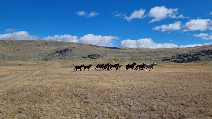 открытки с праздником благовещения. 4 7 апреля. 4 7 апреля. всемирныц жень здоровье. с благовещанием святой богородицы.