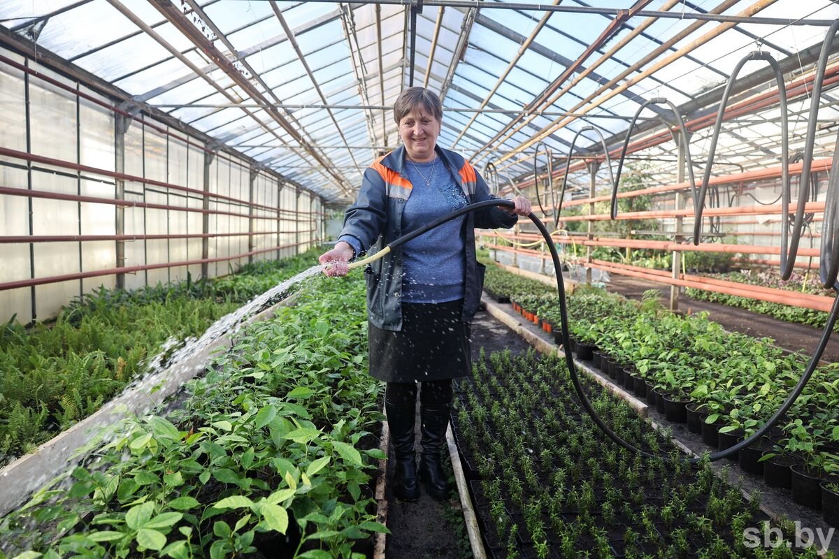 стань краше с дашей. стань краше с дашей. стань краше с дашей. стань краше с дашей. встретиться с дашей.