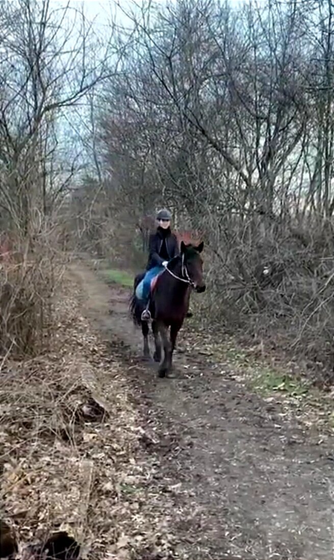 Дочь на Алладине впервые