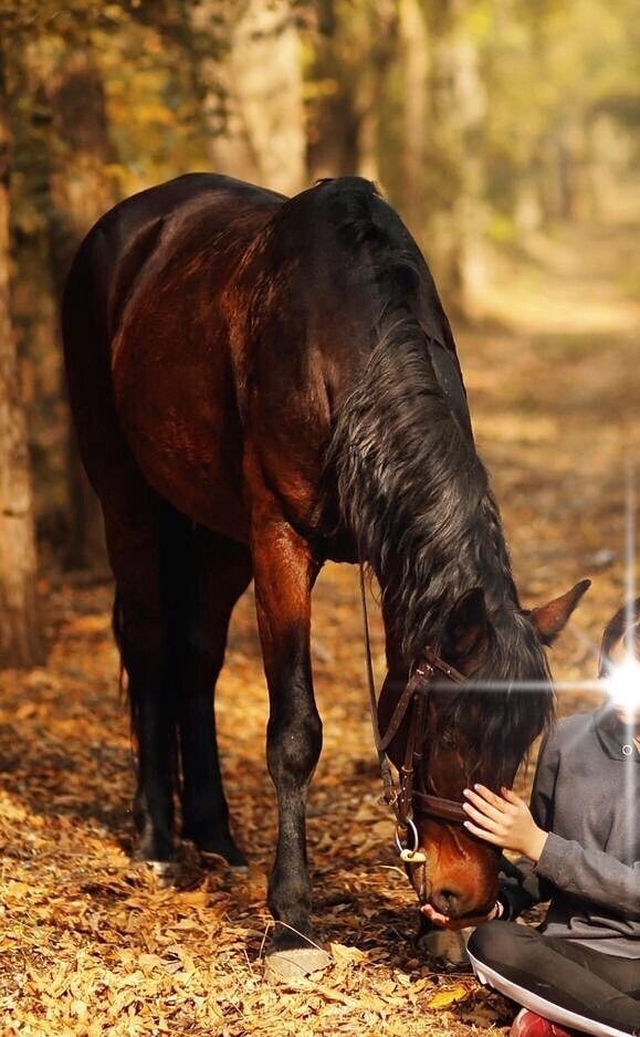 Алладин на фотосессии 🔥. Т.к. фото не моё, пришлось скрыть девушку.