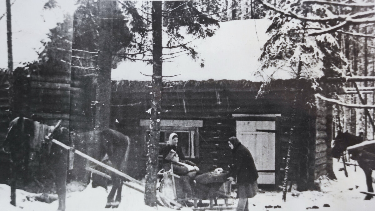 Партизанский госпиталь на 300 коек, организованный за 10 дней командиром Н.А. Сергалевым всего в 6 км от вражеского гарнизона