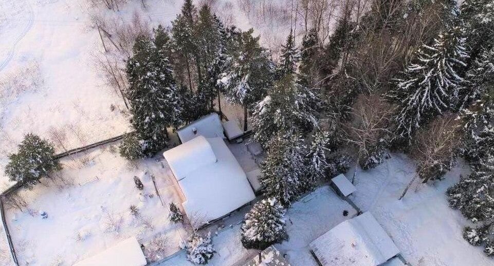 Лесная промышленность. Реалистичная рубка деревьев. Незаконная вырубка деревьев в невинномысске 2023. Реалистичная рубка деревьев. Рубка деревьев 1.