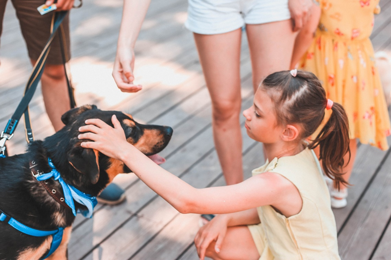 Собаки и дети могут быть лучшими друзьями. Фотография сделана на нашем фестивале «Собаки в городе» 2022 г.