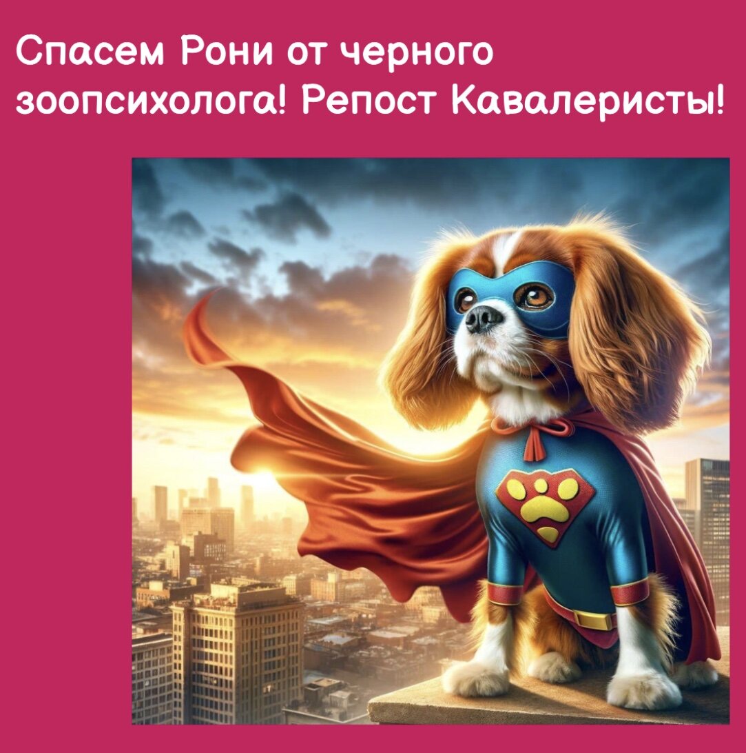 Не дадим Рони жить 31 собакой в клетке у черного зоопсихолога!