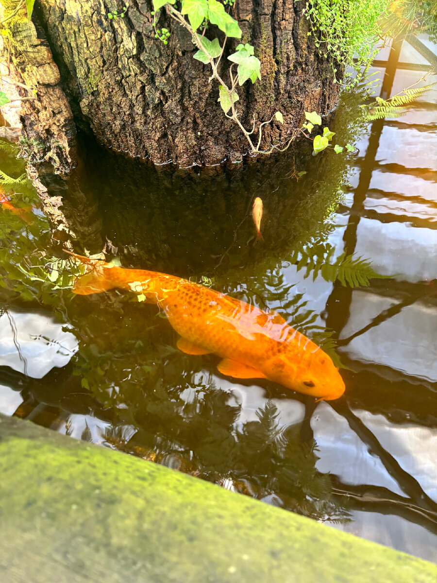 Все фото автора