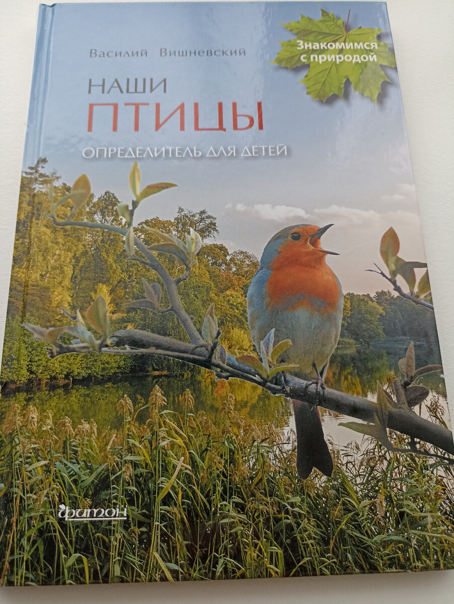 Мой подарок детям