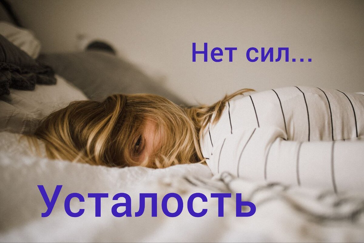 использовано фото с сайта unsplash 