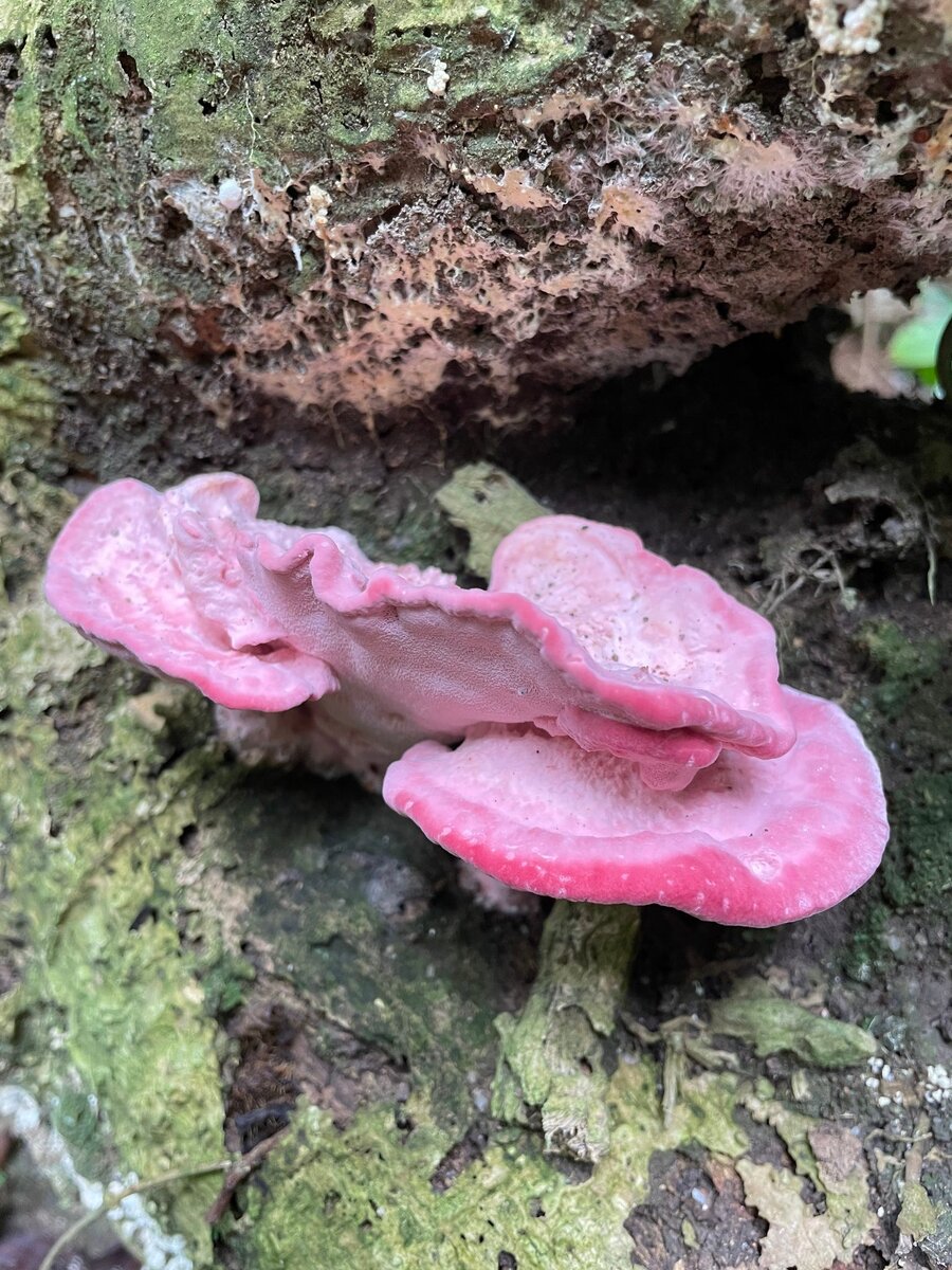 Способы разбудить человека. Как резко разбудить человека. Кпк разбудить челоаека. Как правильно разбудить человека. Как разбудить мозг.