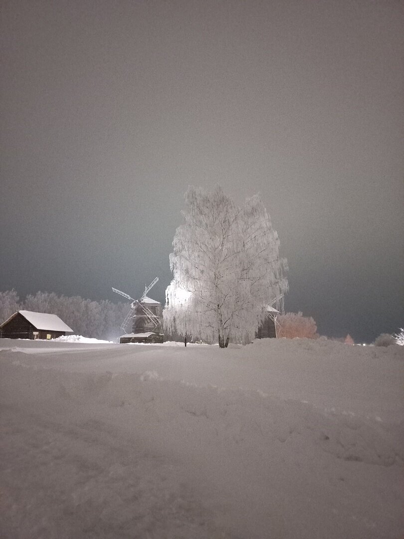 Белая береза. Фото Н. Максимовой