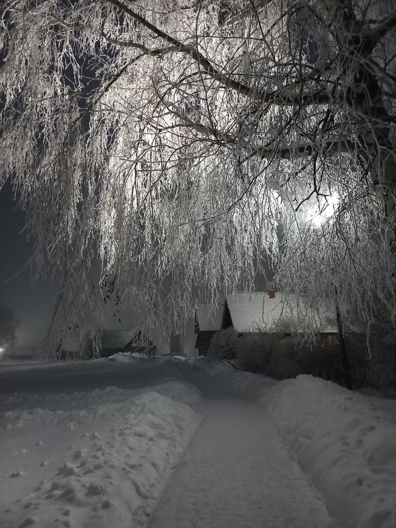 Музей деревянного зодчества. Фото н. Максимовой